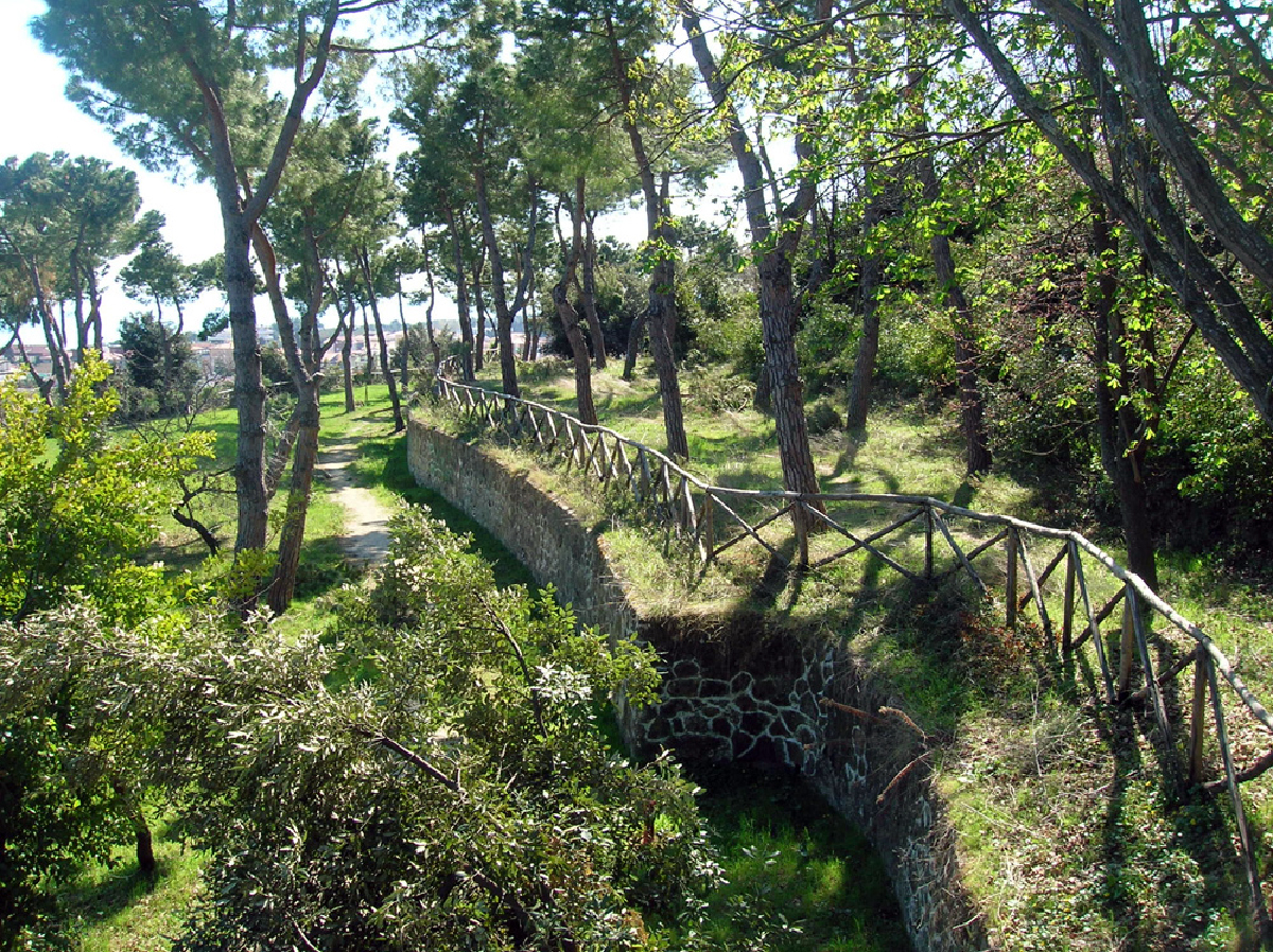 Image Alt